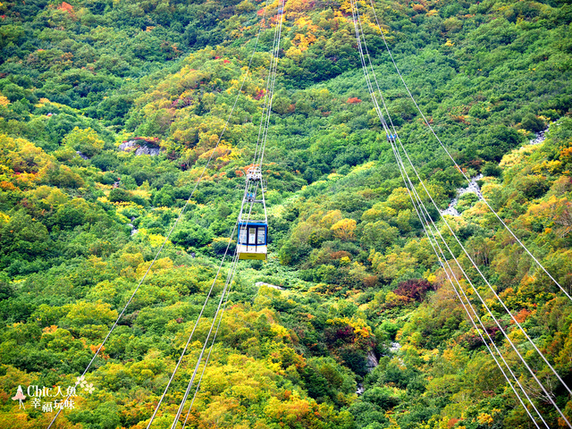 立山-6-搭纜車前往黑部平 (26).jpg - 富山県。立山黑部