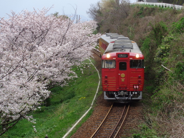 伊予灘ものがたり（春）.JPG - 伊予灘旅物語觀光列車（伊予灘ものがたり)