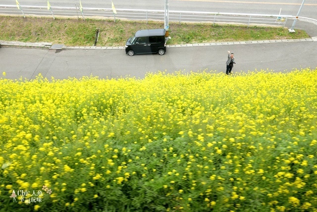 伊予灘旅物語觀光列車 (129).jpg - 伊予灘旅物語觀光列車（伊予灘ものがたり)