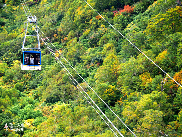 立山-6-搭纜車前往黑部平 (36).jpg - 富山県。立山黑部