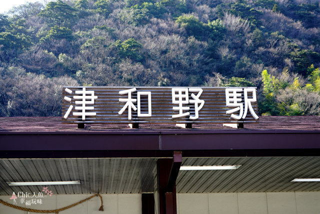 島根山口-津和野SL山口號 (27).JPG - 山口縣。SLやまぐち号