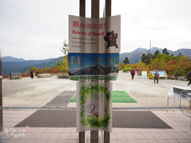 立山-6-搭纜車前往黑部平 (21).jpg - 富山県。立山黑部