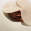CIRCUM 2023開幕菜單 (56).jpg