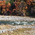 日本白川鄉‧合掌村‧晴