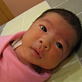 baby boy 089.jpg