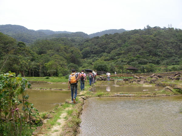 前往登山口路上