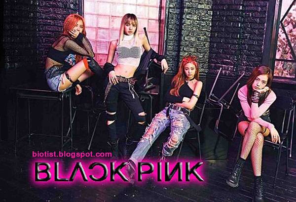 Blackpink Profile Bios Fact and Photos All Member of Black Pink .jpg
