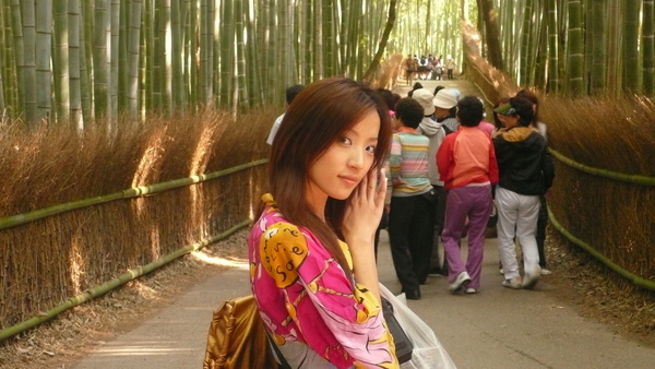 美麗的竹林