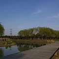 森林公園.JPG