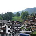 岩石森林（Grindelwald，在少女峰的半山腰）