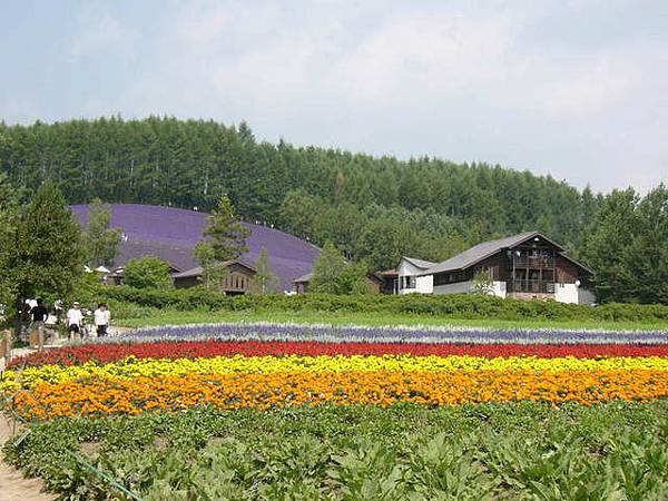 富良野