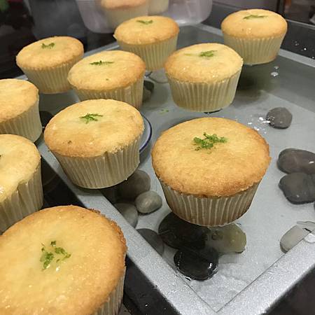 IMG_1103.JPG IMG_1103.JPG