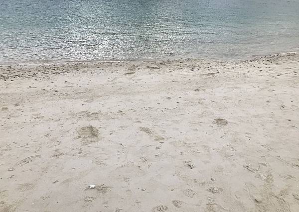 IMG_8496.JPG IMG_8496.JPG