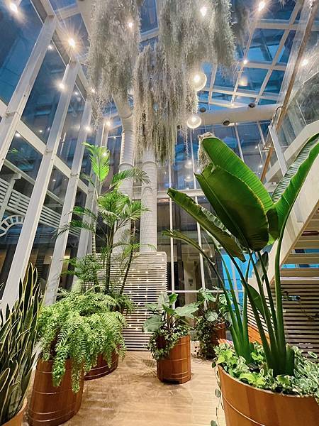 S__24018980.jpg S__24018980.jpg