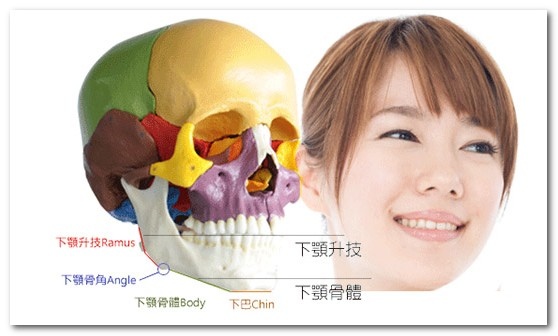削骨手術│台中群英整形外科 削骨手術│台中群英整形外科