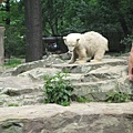 IMG_8567.JPG