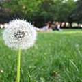 IMG_8245.JPG