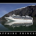 Sapphire Princess In Alaska 7