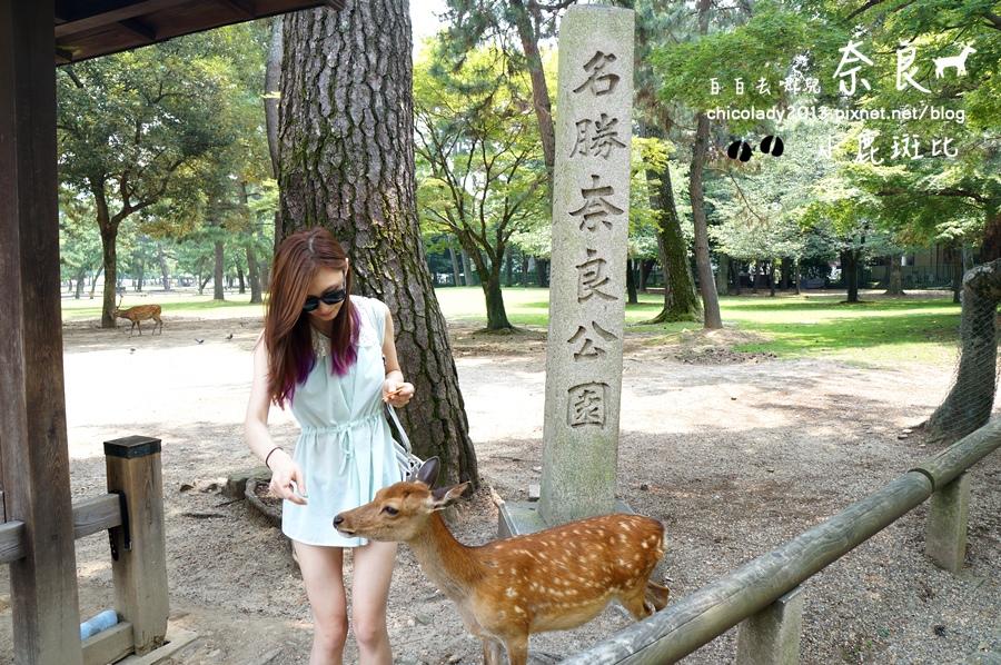DSC08128.JPG DSC08128.JPG