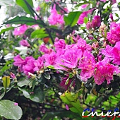 PhotoCap_DSC_5842