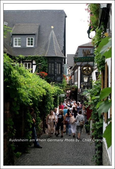 Rüdesheim  (28).jpg