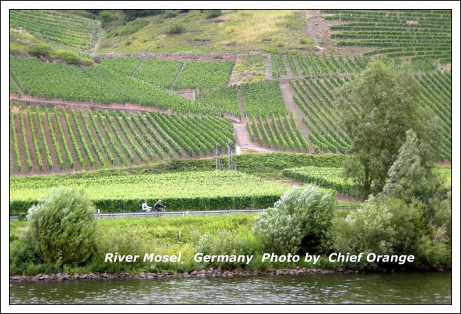 Mosel 河遊船  (18).jpg