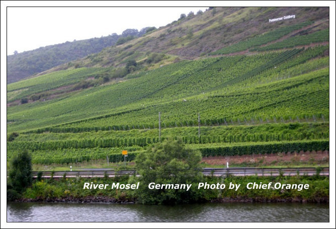 Mosel 河遊船  (21).jpg