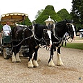 Hampton Court Palace  (35).jpg