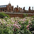 Hampton Court Palace  (52).jpg