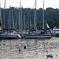 Windermere  (22).jpg