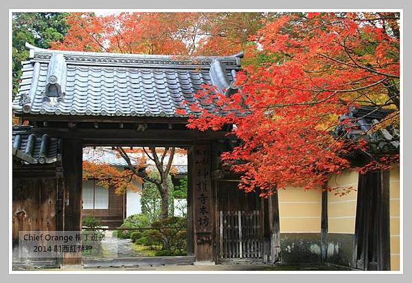 高雄山神護寺  (22).JPG