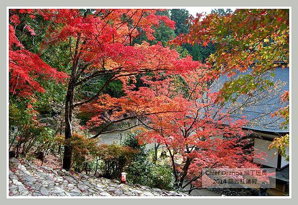 高雄山神護寺  (24).JPG