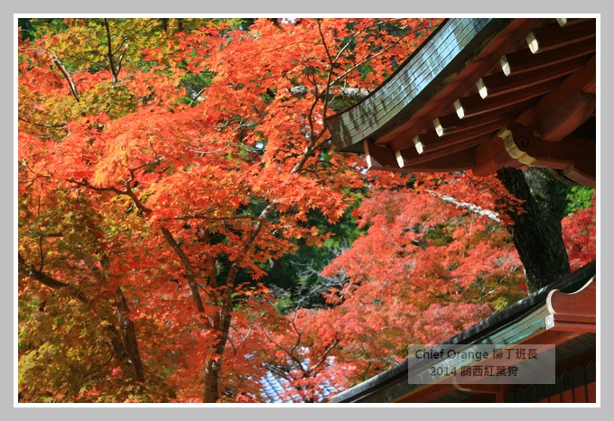 高雄山神護寺  (38).JPG