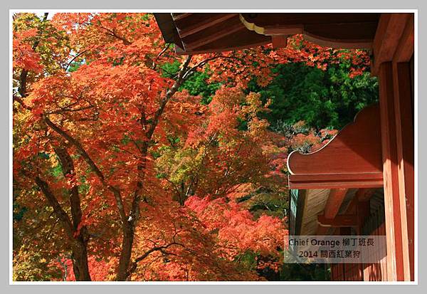 高雄山神護寺  (39).JPG