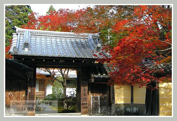 高雄山神護寺  (40).JPG