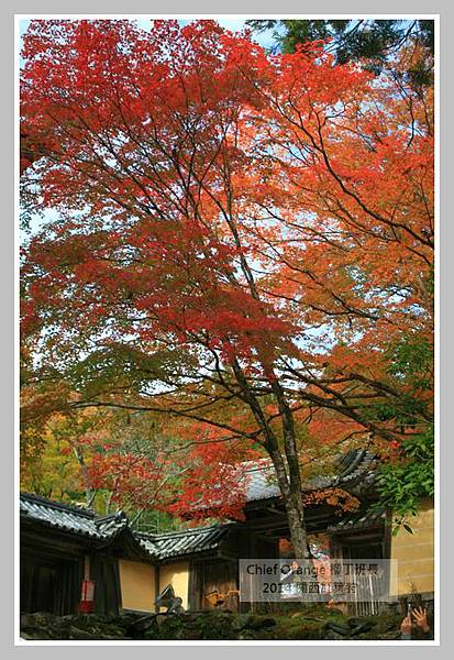 高雄山神護寺  (42).JPG