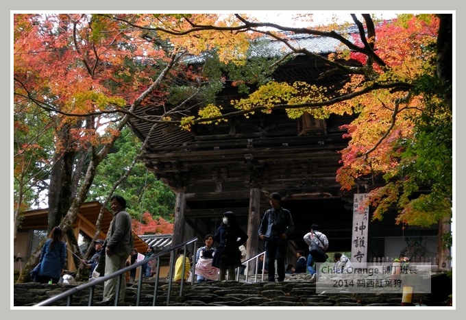 高雄山神護寺  (43).JPG