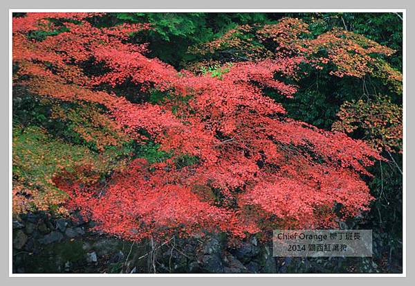 高雄山神護寺  (45).JPG