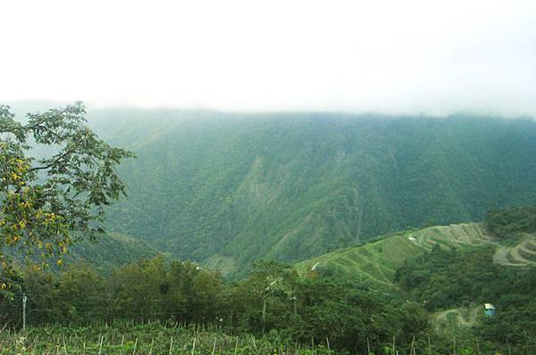 p4-5_03.jpg