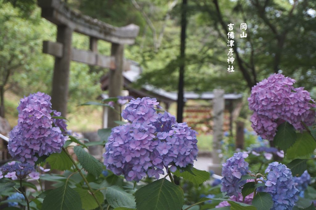 吉備津彦神社 土豆鳥事 痞客邦 吉備津彦神社 土豆鳥事 痞客邦