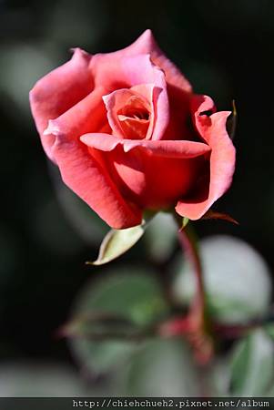 DSC_9422.JPG DSC_9422.JPG