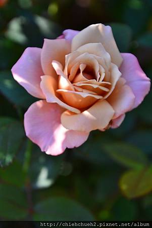 DSC_9433.JPG DSC_9433.JPG