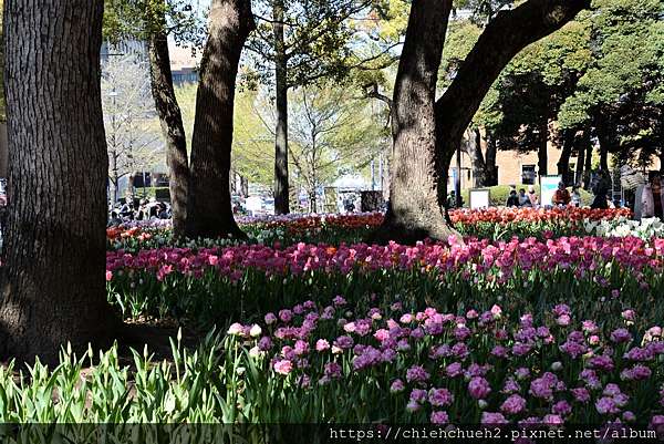 橫濱是個賞花的好地方 Wawa的新家 痞客邦