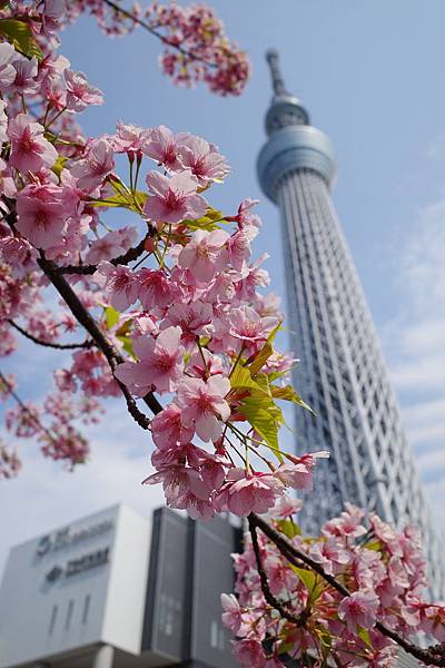 押上 有點遠但值得一去的竹末東京primium つけ麺 Cc的日本生存記事簿 痞客邦