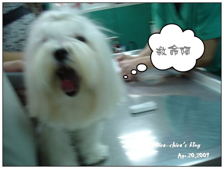 nEO_IMG_DSC08172.jpg nEO_IMG_DSC08172.jpg