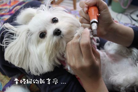 錢錢磨指甲_18.jpg 錢錢磨指甲_18.jpg