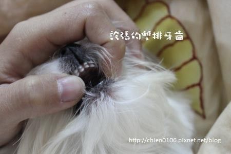 弟弟結紮拔牙_30.jpg 弟弟結紮拔牙_30.jpg