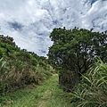 LINE_ALBUM_112.07.29獅公髻尾山-大舌湖山_230730_44.jpg