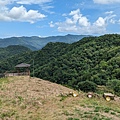 LINE_ALBUM_112.07.29獅公髻尾山-大舌湖山_230730_135.jpg