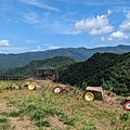 LINE_ALBUM_112.07.29獅公髻尾山-大舌湖山_230730_160.jpg